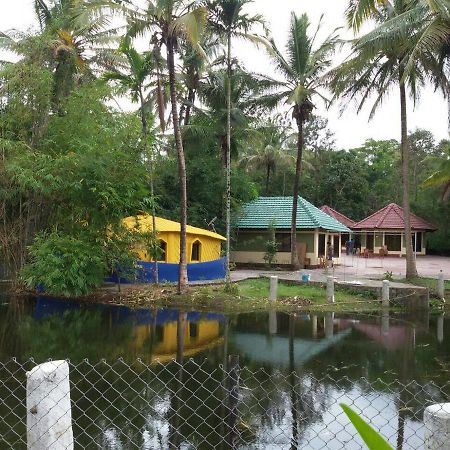 Kushālnagar Coorg Anekad Jungle Stay المظهر الخارجي الصورة