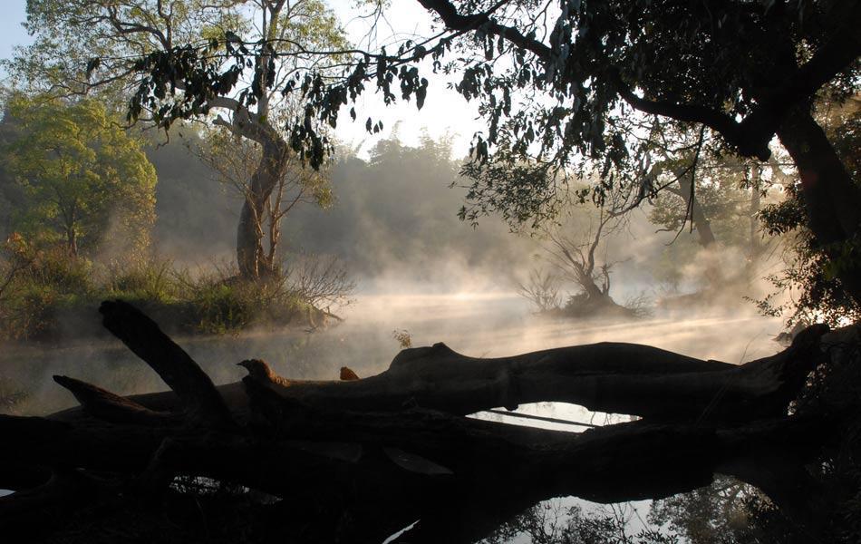 Kushālnagar Coorg Anekad Jungle Stay المظهر الخارجي الصورة